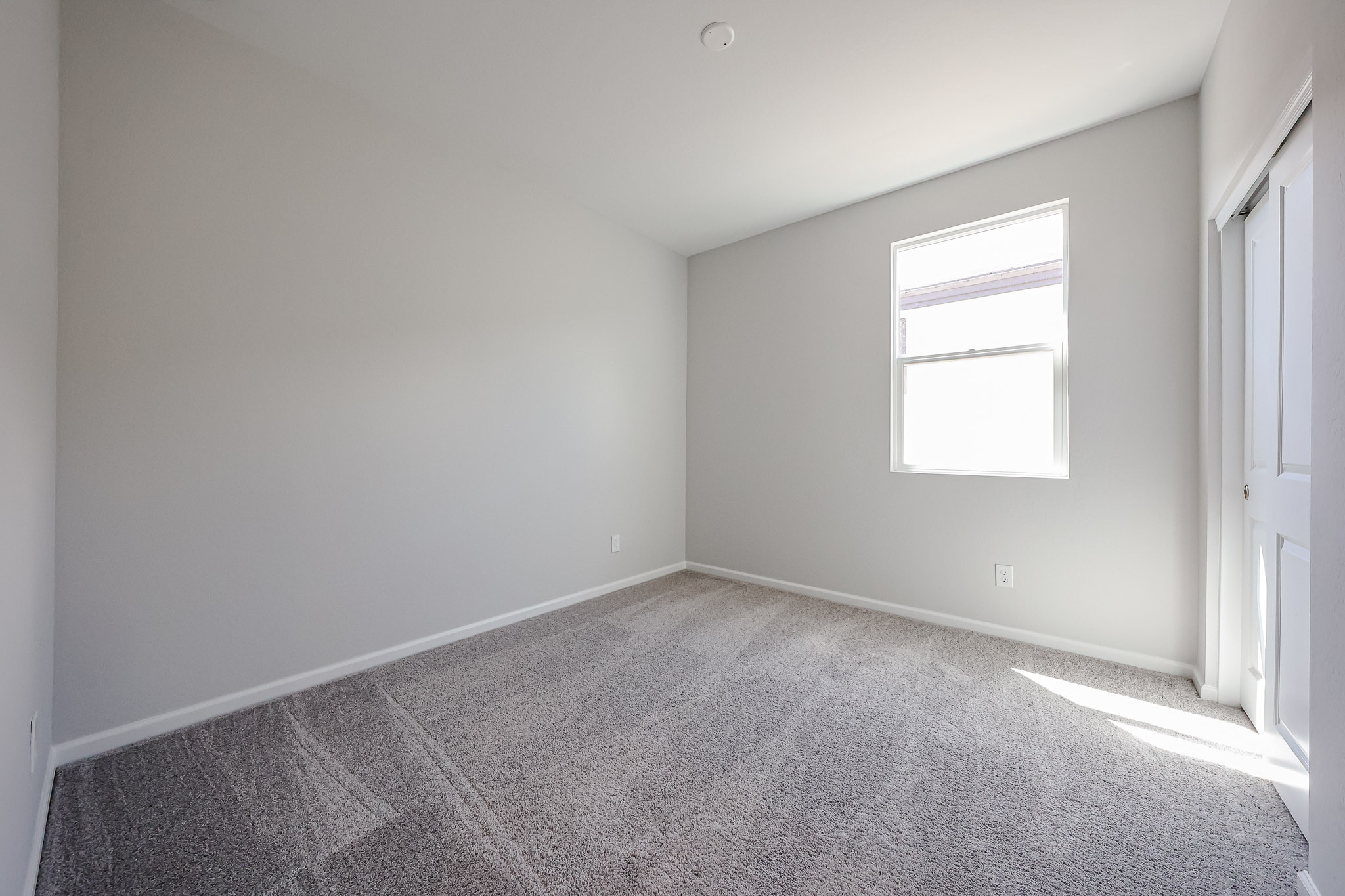 A room with a carpet and a window.