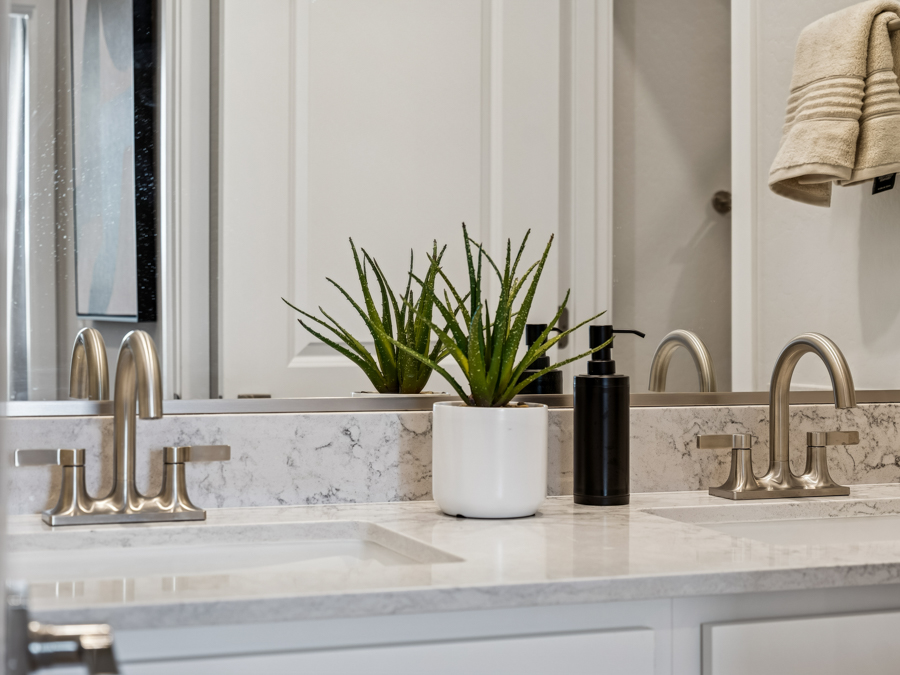 A bathroom with a plant in a pot.