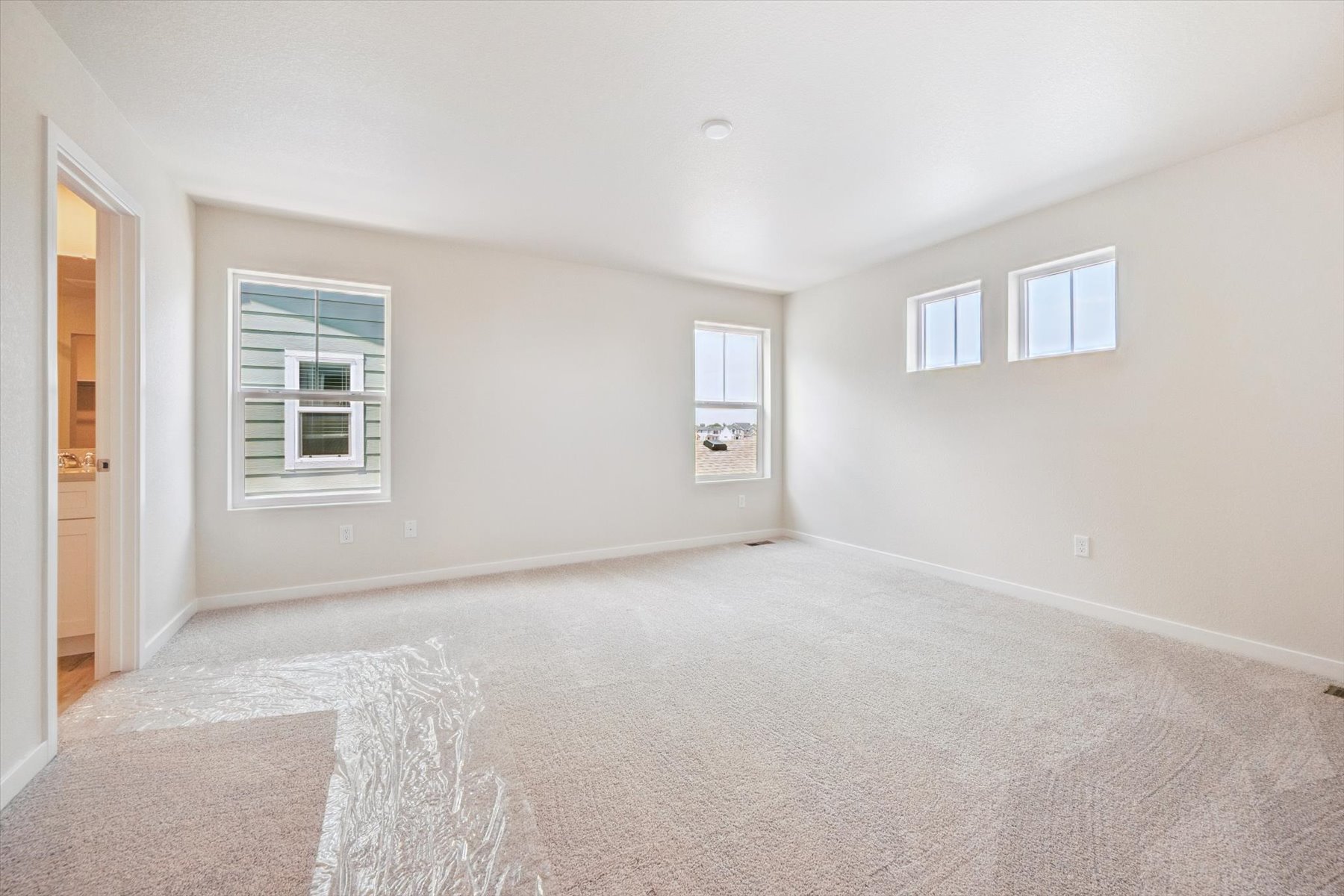 A room with a carpet and windows.