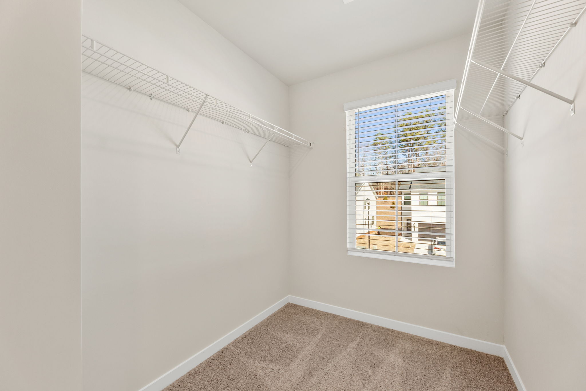 A room with a window and a rug.
